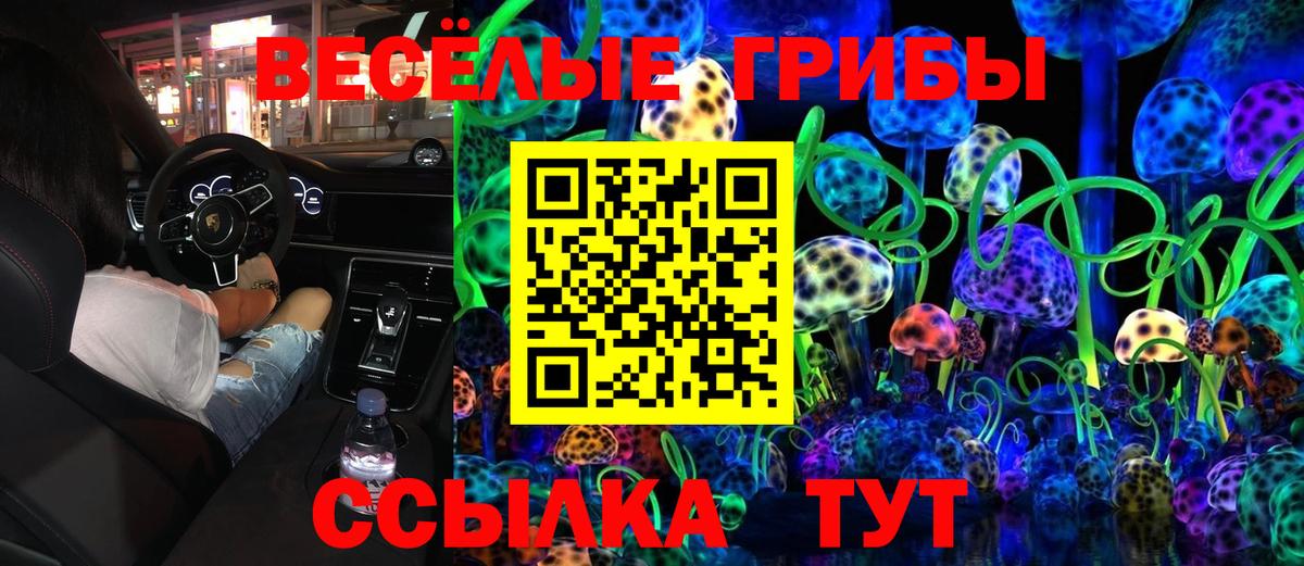 Псилоцибиновые грибы Psilocybine cubensis Кириши