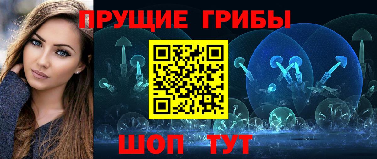 Кириши  Псилоцибиновые грибы мицелий  Вход с VPN  продажа наркотиков  Псилоцибиновые грибы мицелий 